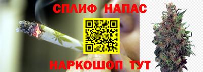 дмт Будённовск