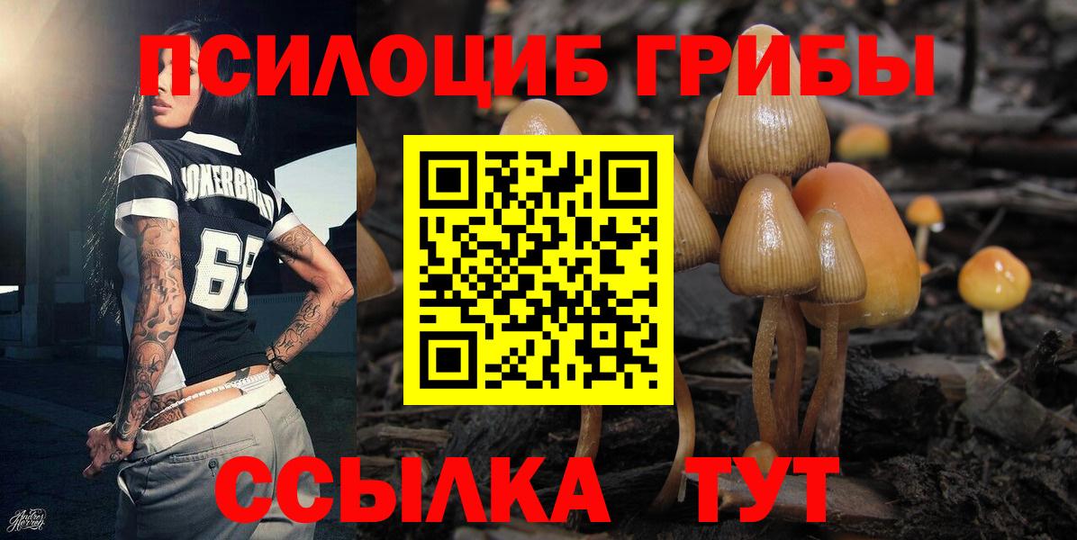 Псилоцибиновые грибы мухоморы Озёры